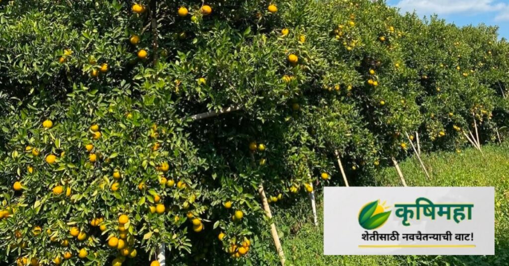 फळझाड लागवडीचे तंत्रज्ञान