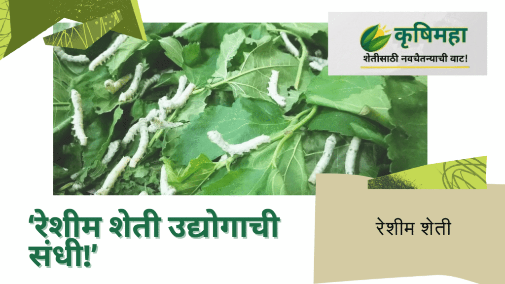 रेशीम शेती उद्योग
