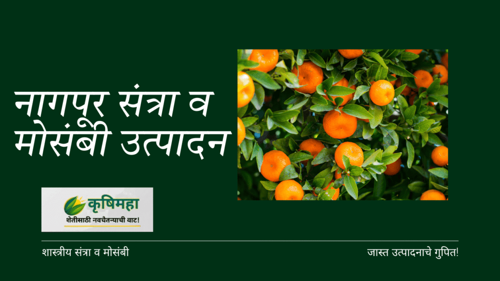 फळझाड लागवडीचे तंत्रज्ञान