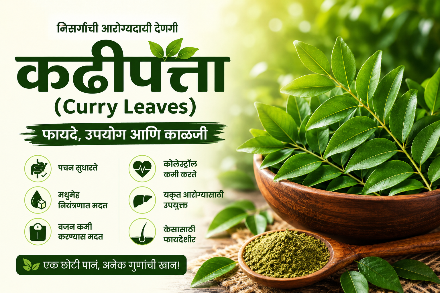 कढीपत्त्याचे फायदे (Curry Leaves Benefits)